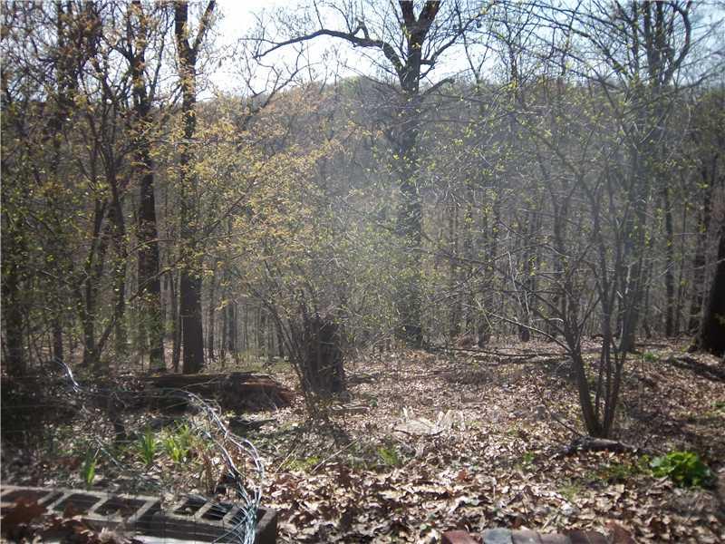 101 Hillendale Road Pittsburgh, PA 15237 - Photo 20 of 22 Exterior Back.