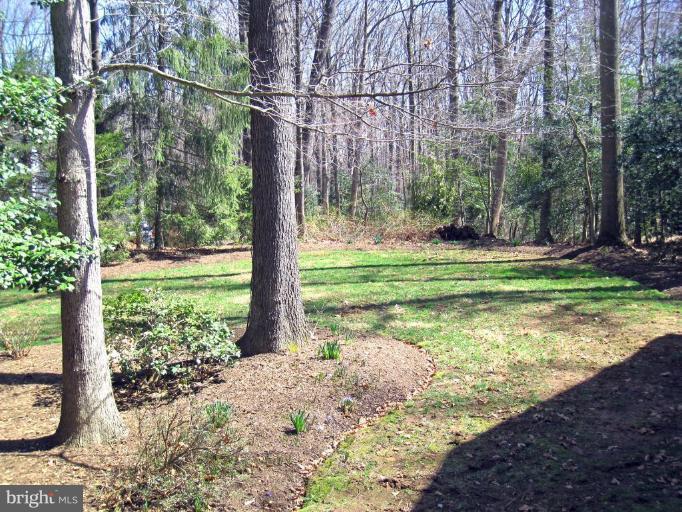11706 Blue Smoke Trail Reston, VA 20191 - Photo 15 of 17 Back yard
