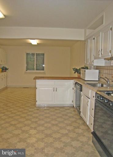 11706 Blue Smoke Trail Reston, VA 20191 - Photo 7 of 17 Kitchen #3
