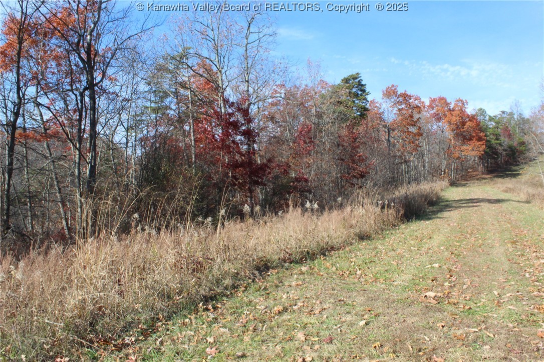 558 Sears Run Road Chloe, WV 25235 - Photo 9 of 29 Gallery Image 9