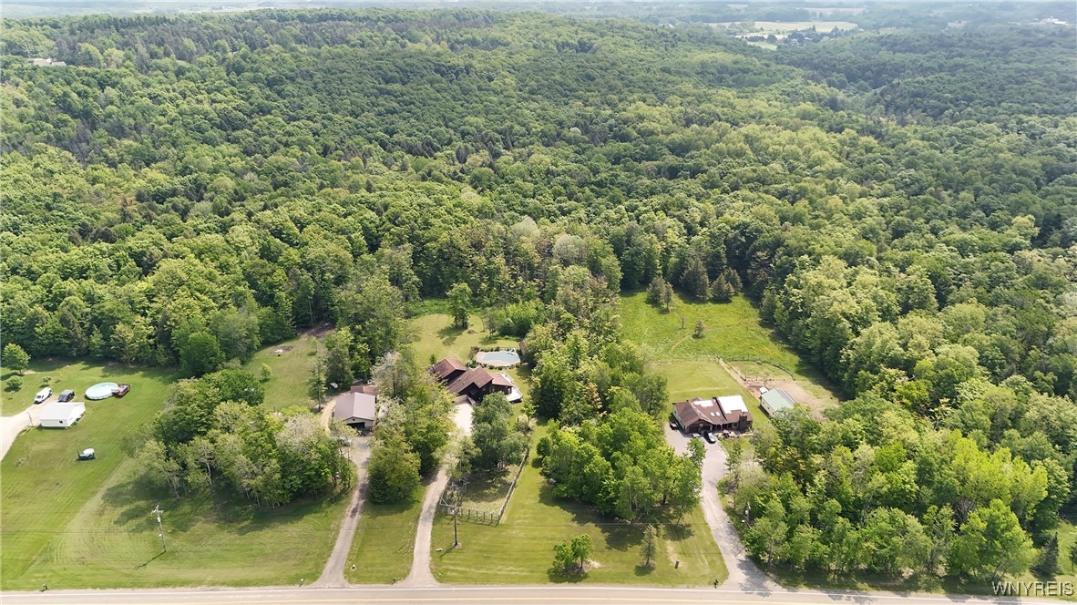 12261 Transit Line Road Concord, NY 14141 - Photo 5 of 47