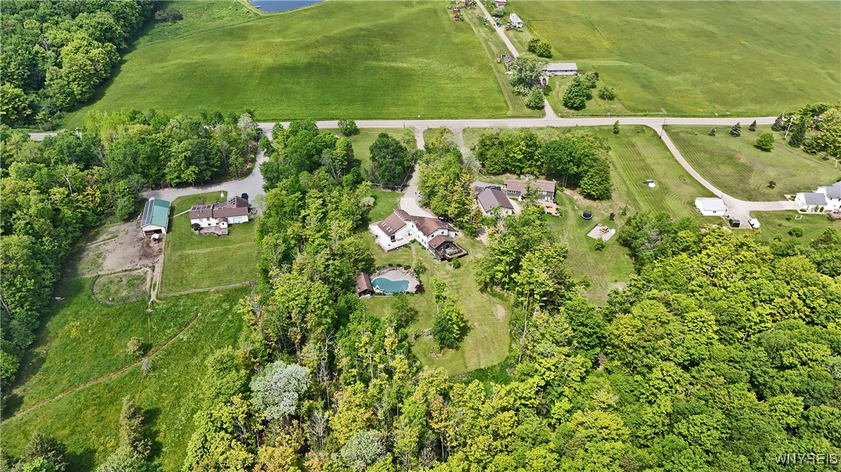 12261 Transit Line Road Concord, NY 14141 - Photo 6 of 47