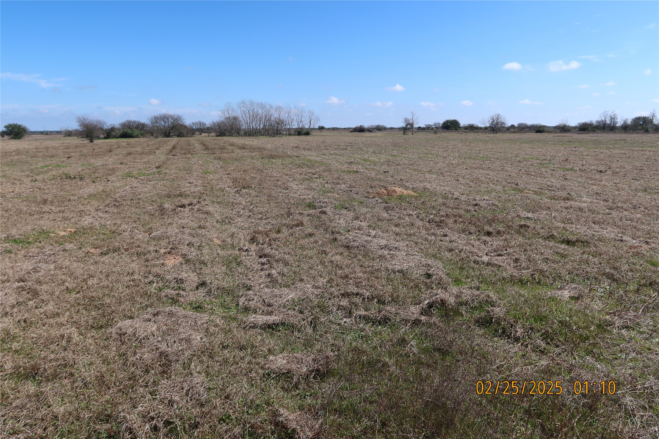 0 Teal Lane Columbus, TX 78934 - Photo 11 of 13