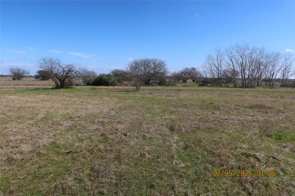 a view of yard with ocean and trees