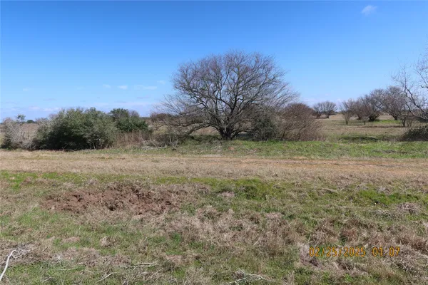 a view of a field with trees in the background