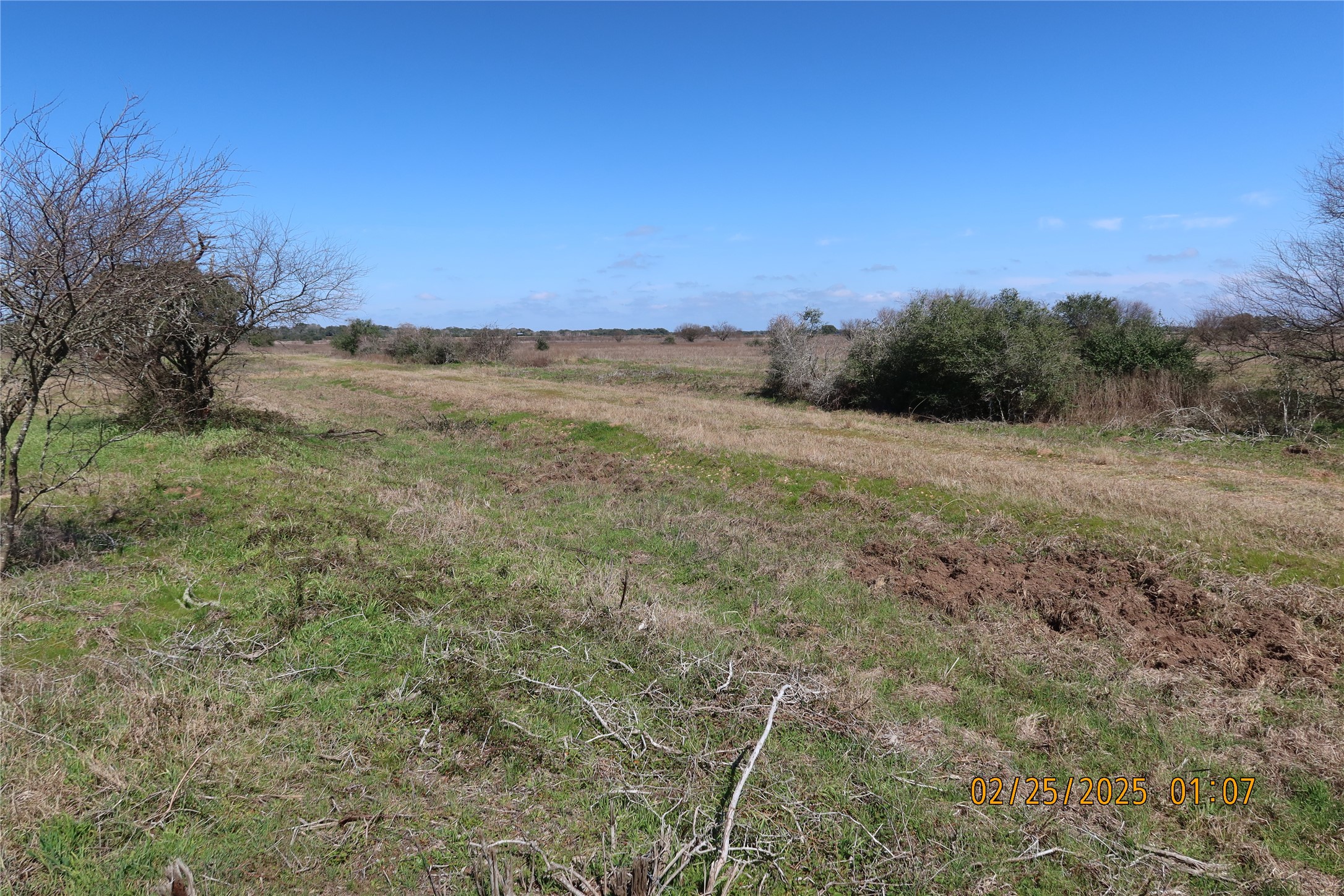 0 Teal Lane Columbus, TX 78934 - Photo 7 of 13