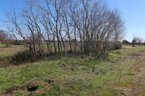 a view of backyard with green space