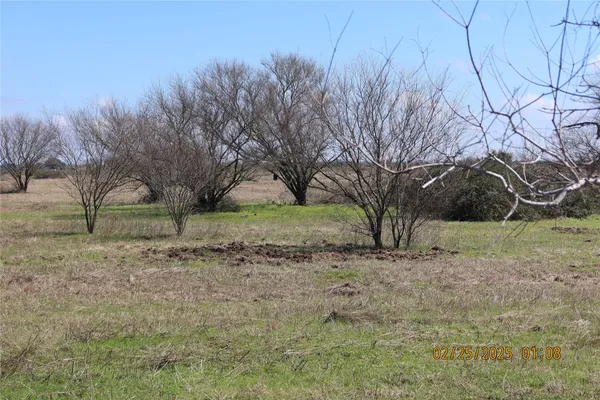 a view of a yard with a tree