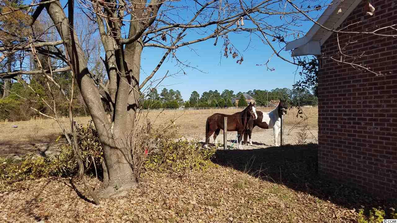 1493 Holly Hill Road Loris, SC 29569 - Photo 2 of 32 Gallery Image 2