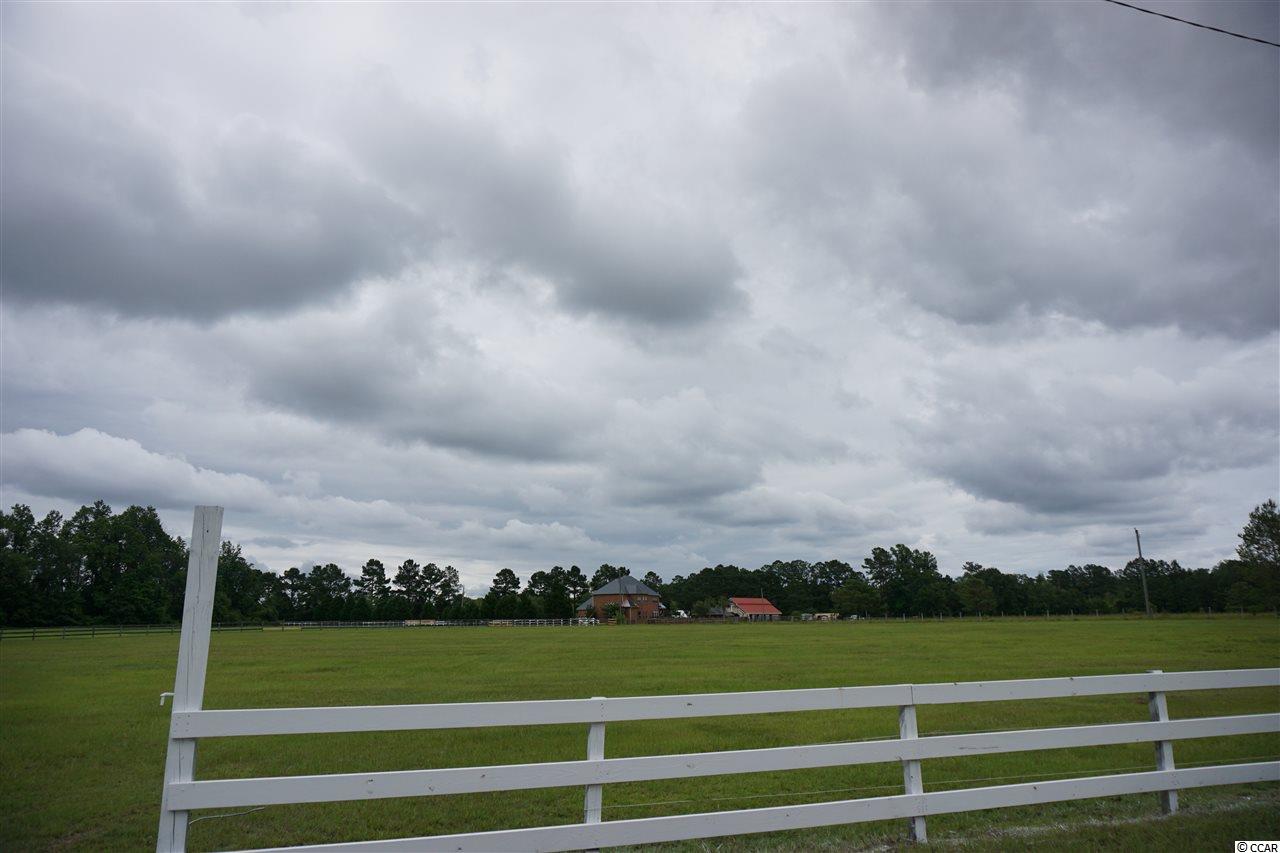 1493 Holly Hill Road Loris, SC 29569 - Photo 11 of 32 Gallery Image 11