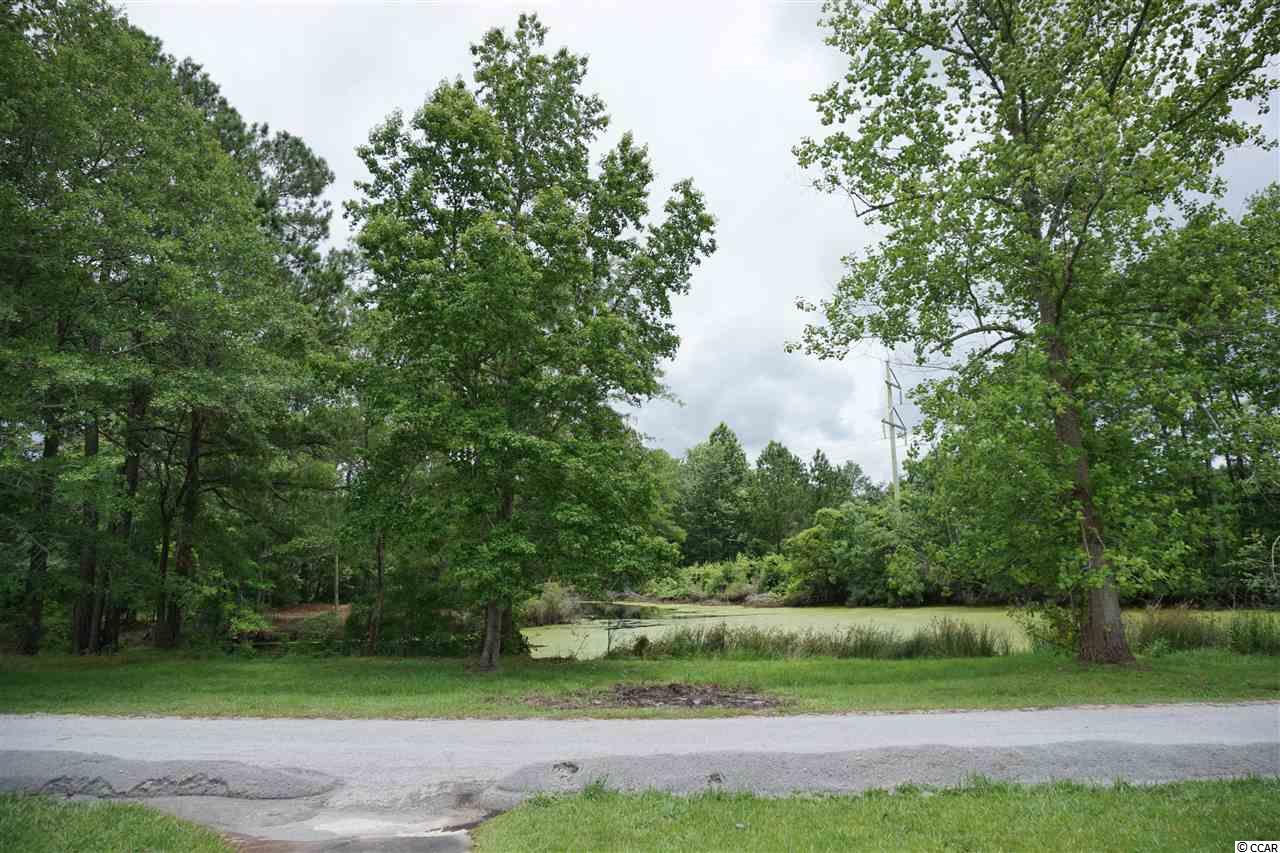 1493 Holly Hill Road Loris, SC 29569 - Photo 3 of 32 Gallery Image 3