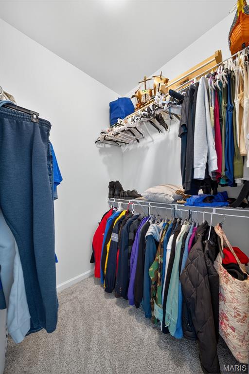 1709 Everest Avenue O'Fallon, MO 63366 - Photo 44 of 91