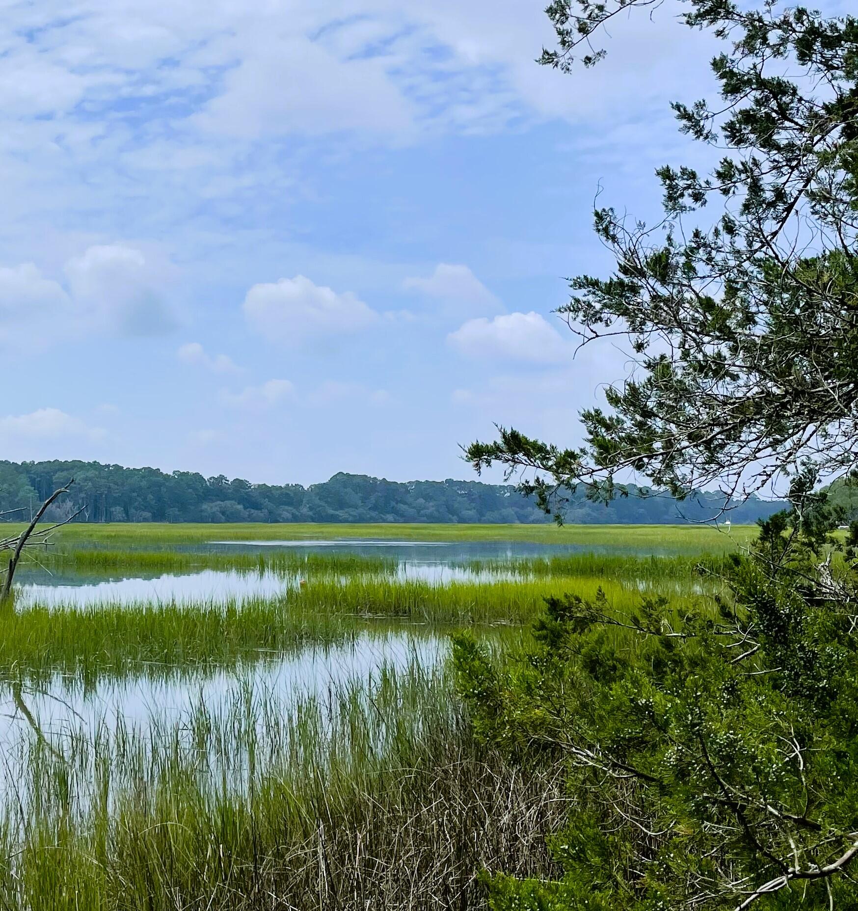 Lot D-2 Toogoodoo Road Meggett, SC 29449 - Photo 1 of 10