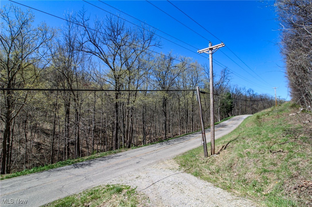 Mercer Rd Street Bridgeport, OH 43912 - Photo 2 of 19 View of road