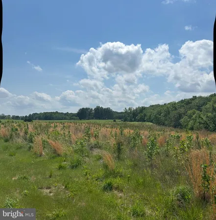 a view of lake with mountain