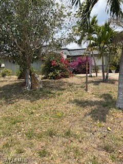 18215 Iris Road Fort Myers, FL 33967 - Photo 27 of 34 a view of a yard with plants and trees