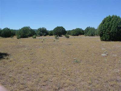 0 Juniperwood Ranch Ash Fork, AZ 86320 - Photo 1 of 1 Primary Photo