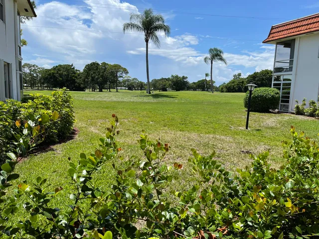 a view of a garden with a bench in the background