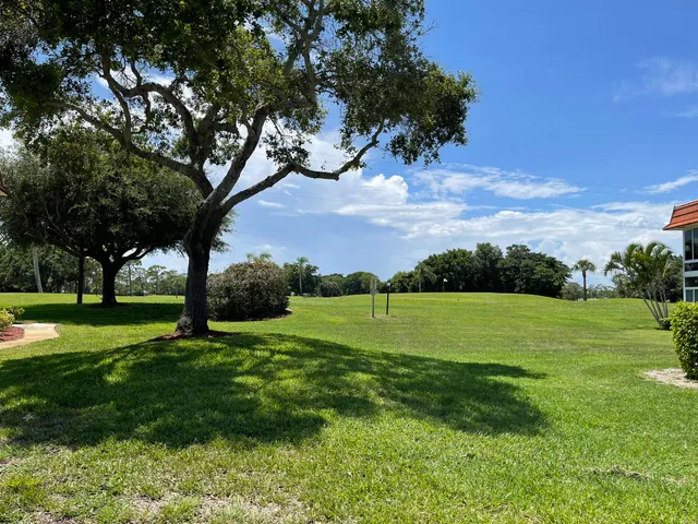 a view of field with tall trees
