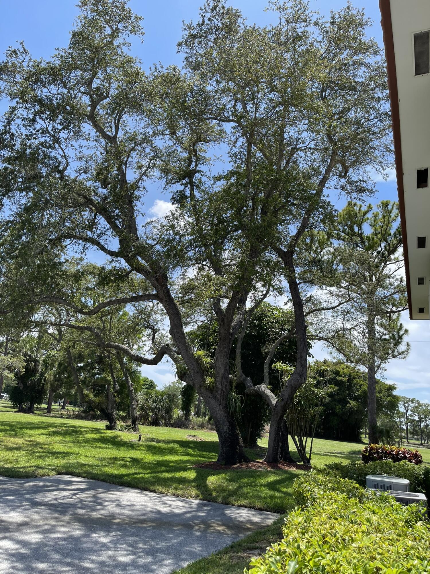 1225 Northwest 21st Street Northwest, Unit 151505 Stuart, FL 34994 - Photo 17 of 44 Trees