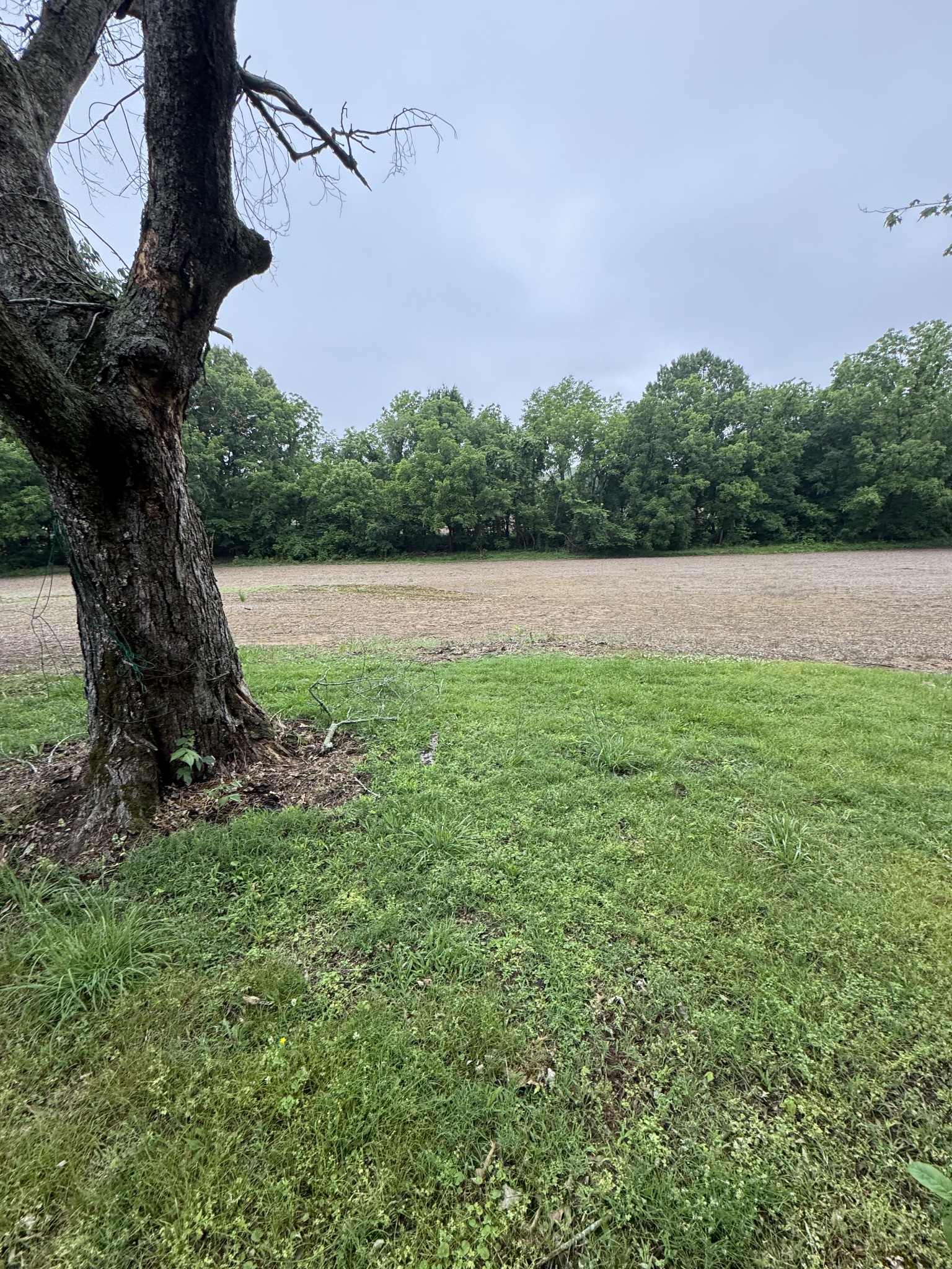 325 Harts Mill Road Atwood, TN 38220 - Photo 13 of 44