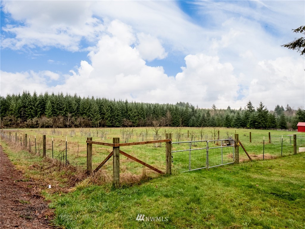 534 Tennessee Road Winlock, WA 98596 - Photo 35 of 40 a view of a lake with a big yard