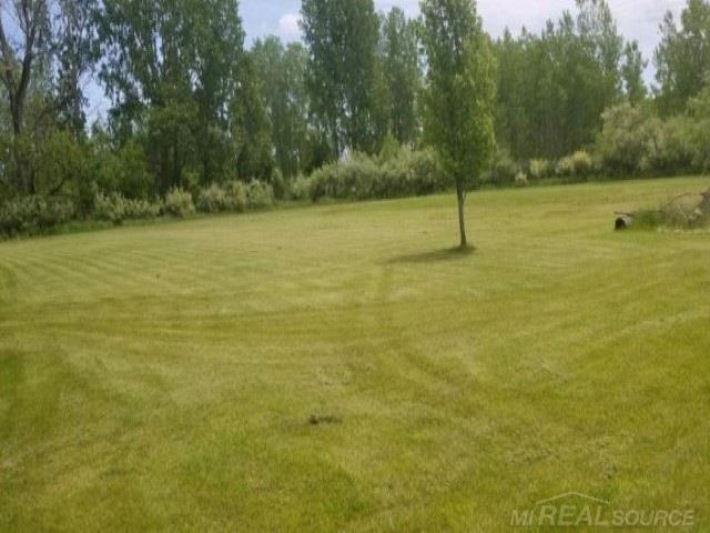 6730 Derby Road Applegate, MI 48401 - Photo 10 of 13 Gallery Image 10