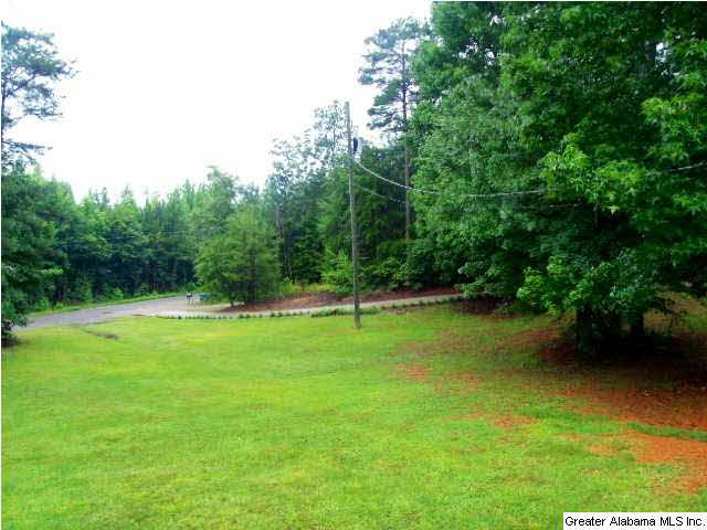 1033 Rogers Road Oneonta, AL 35121 - Photo 13 of 32
