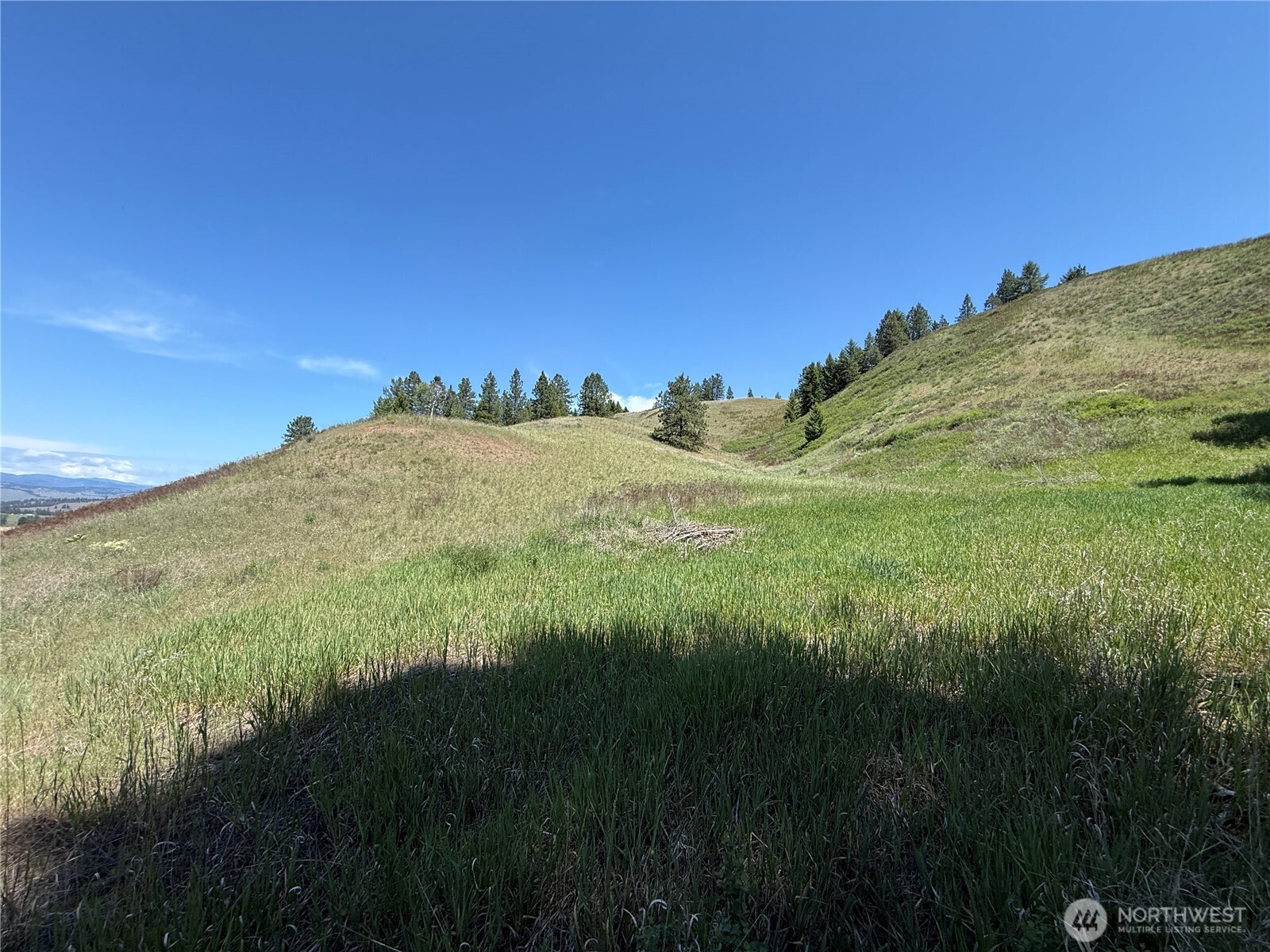 0 Art Creek Road Malo, WA 99150 - Photo 3 of 13 a view of a lush green space with sea