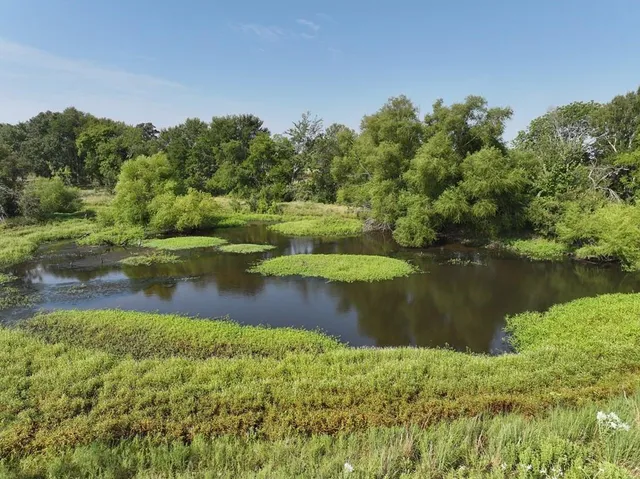 a view of a lake with a yard and large trees