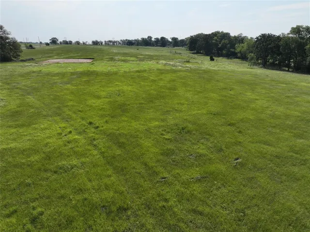 a view of a field with an ocean