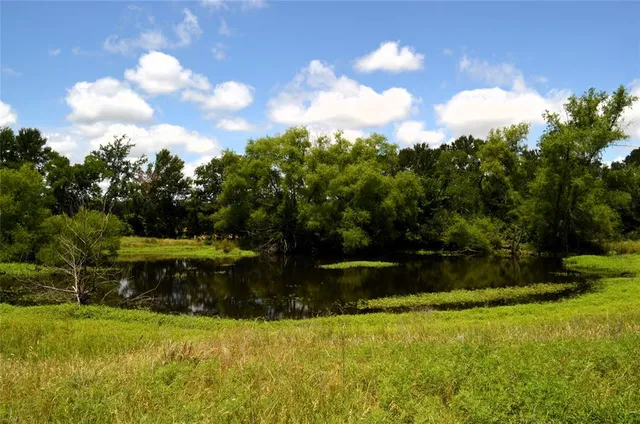 a view of a back yard