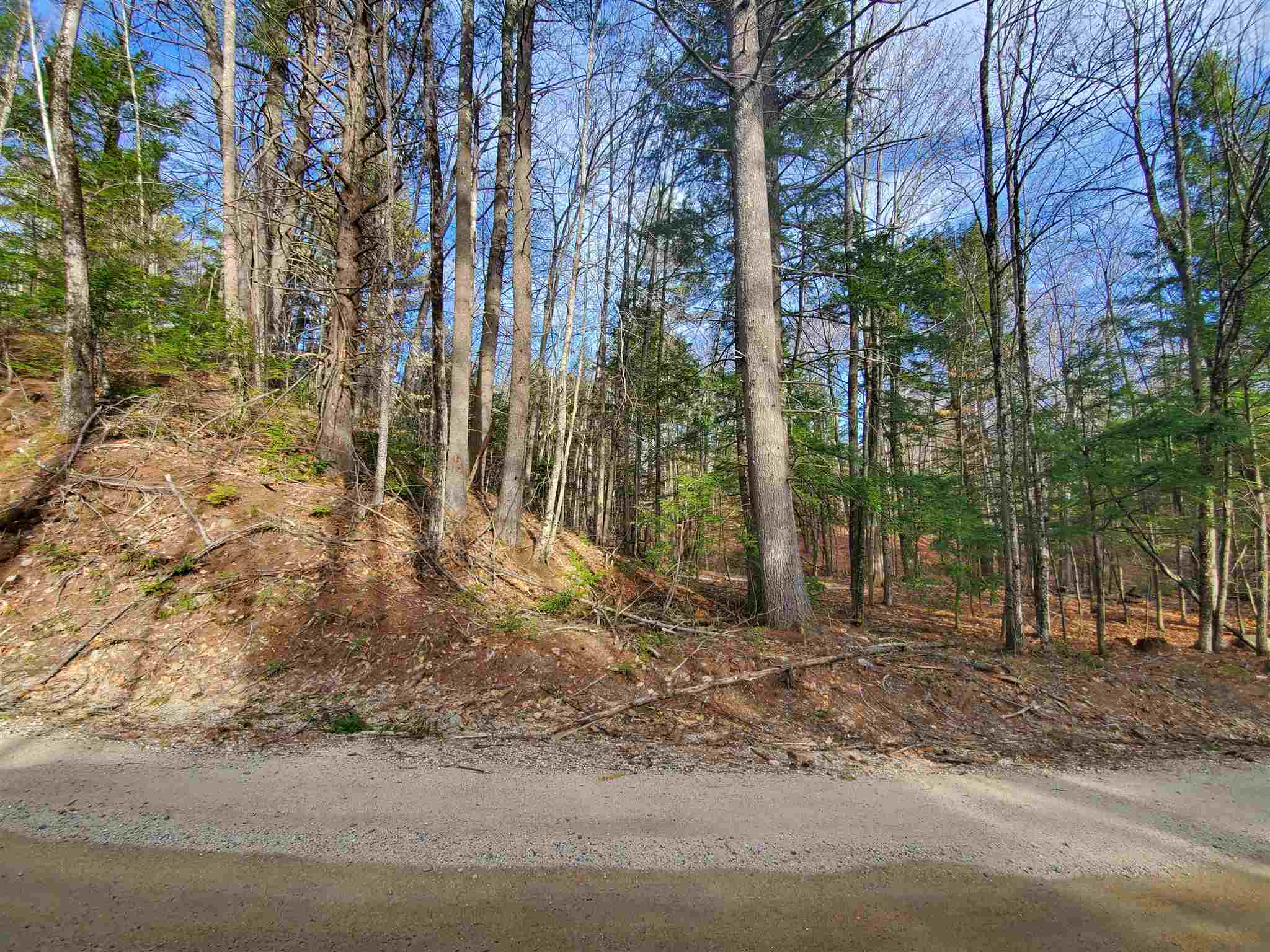 Lot 7 Lost Mile Road Parsonsfield, ME 04047 - Photo 1 of 3