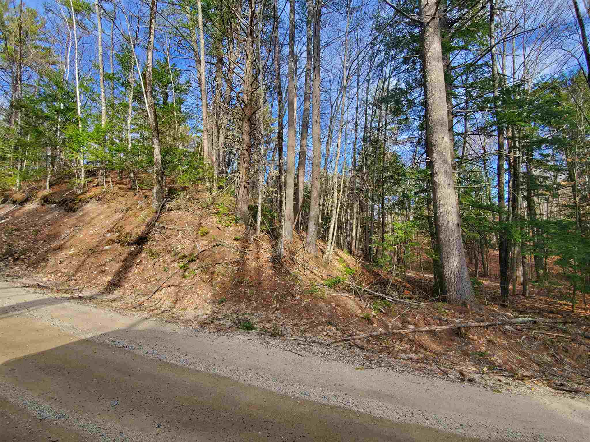 Lot 7 Lost Mile Road Parsonsfield, ME 04047 - Photo 2 of 3