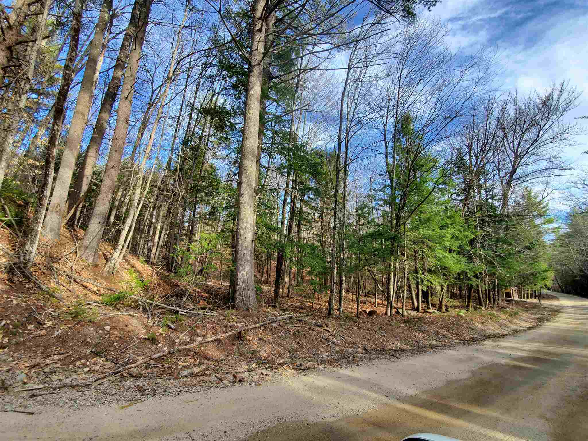 Lot 7 Lost Mile Road Parsonsfield, ME 04047 - Photo 3 of 3
