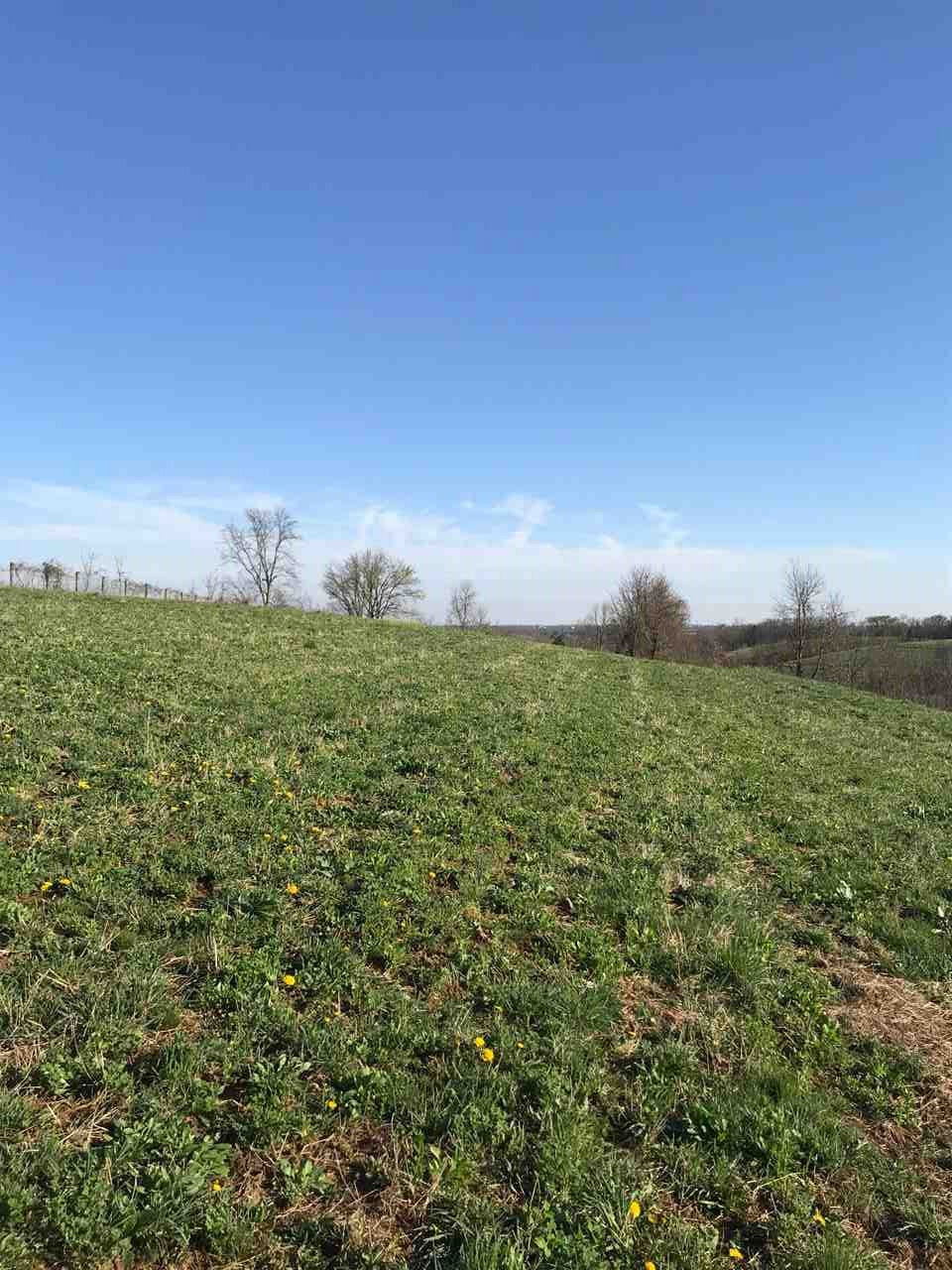 19.95 Simpson Ridge Road Williamstown, KY 41097 - Photo 6 of 17