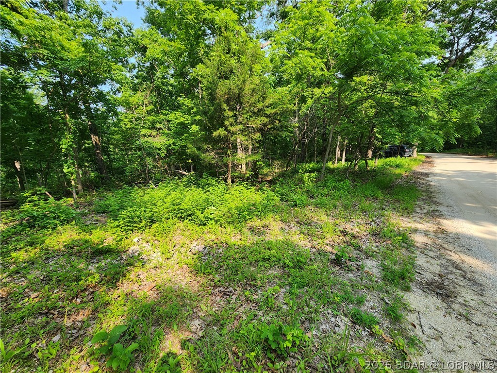 Paul Road Barnett, MO 65011 - Photo 19 of 28 Gallery Image 19