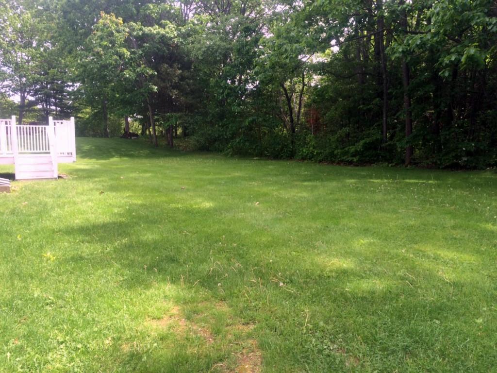 96 River's Edge Drive Portland, ME 04102 - Photo 24 of 32 Spacious and private rear yard with...