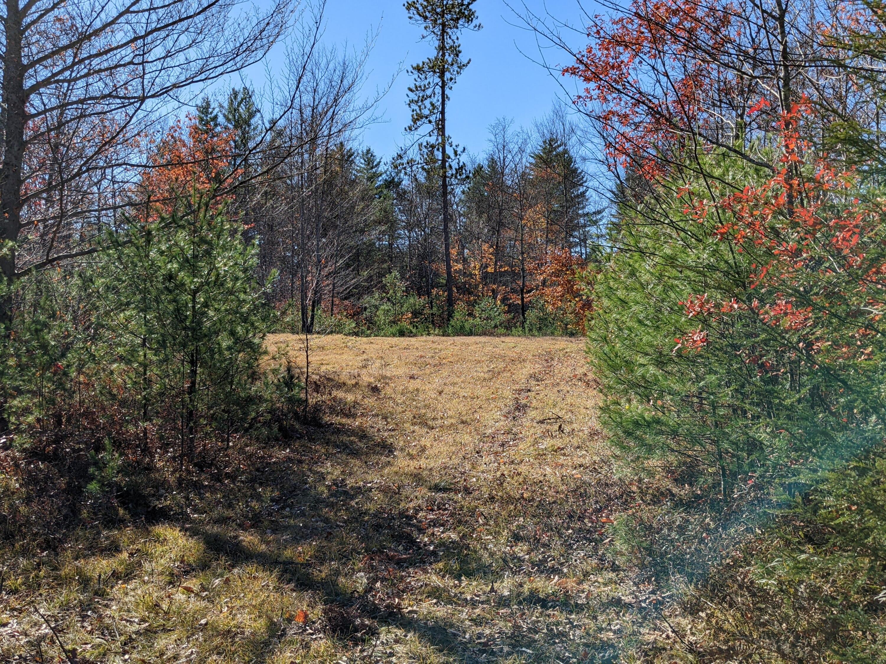 Lot # Highland Park Road Fryeburg, ME 04037 - Photo 7 of 15 Looking toward cleared area lot D