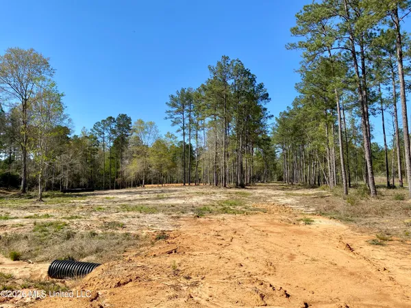 $159,000 | 10 Monarch Circle, Carriere, MS 39426