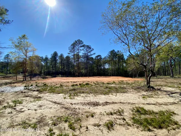 $159,000 | 10 Monarch Circle, Carriere, MS 39426