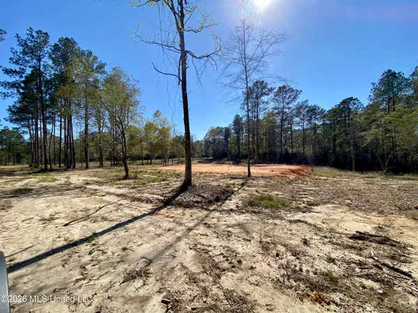 $159,000 | 10 Monarch Circle, Carriere, MS 39426