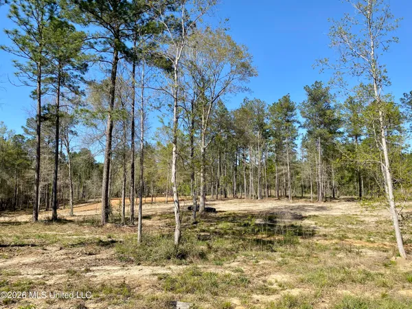 $159,000 | 10 Monarch Circle, Carriere, MS 39426