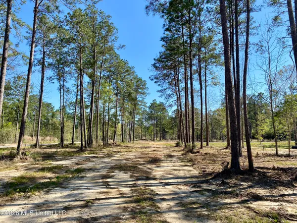 $159,000 | 10 Monarch Circle, Carriere, MS 39426