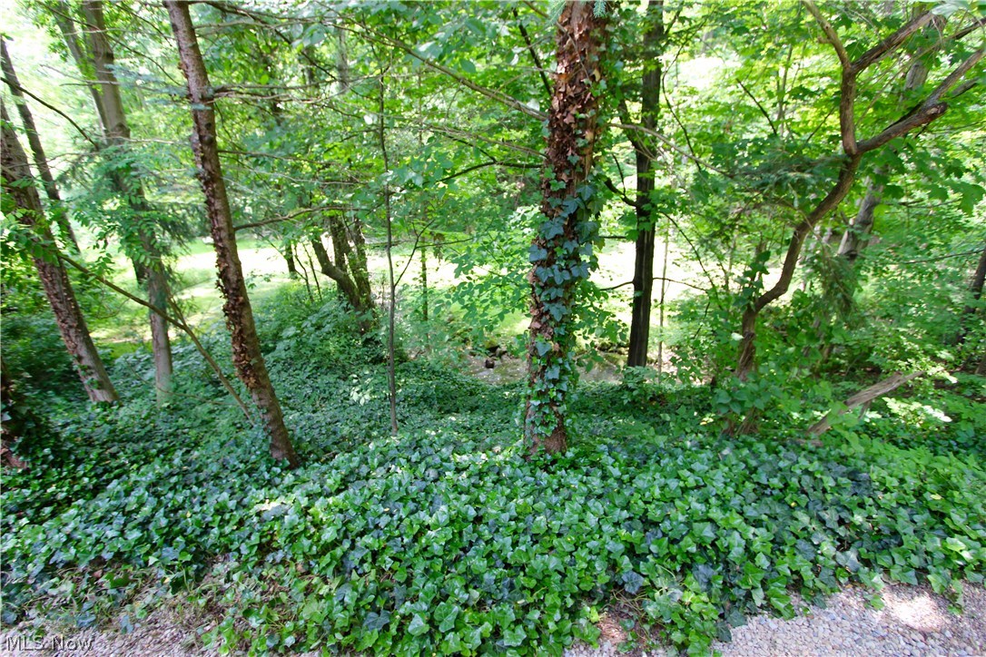 1541 Bell Road Chagrin Falls, OH 44022 - Photo 23 of 24 Gallery Image 23