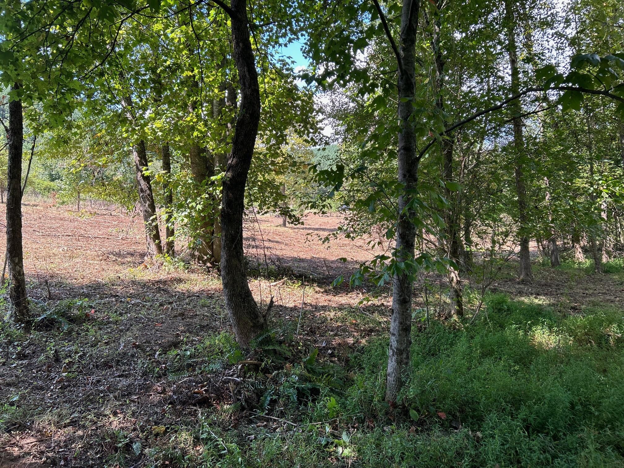 684 Cuno Lane Decatur, TN 37322 - Photo 20 of 25