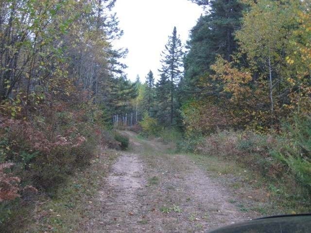 On Spring Drive Rhinelander, WI 54501 - Photo 14 of 20 Gallery Image 14