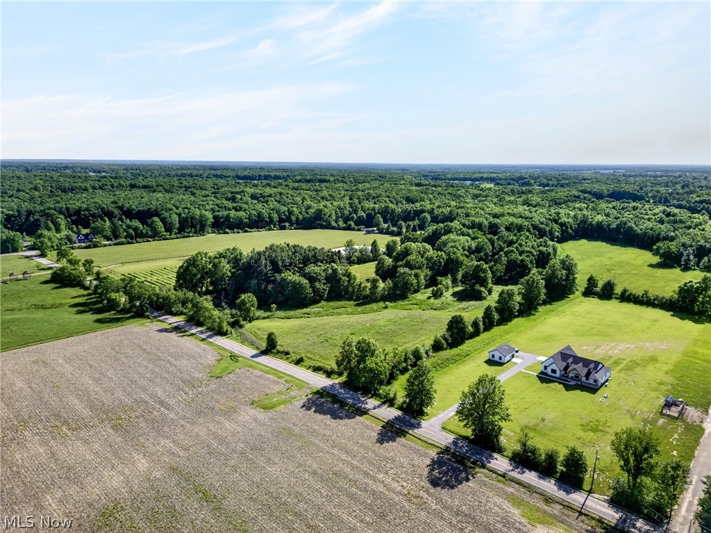18844 Mennell Road Grafton, OH 44044 - Photo 6 of 49