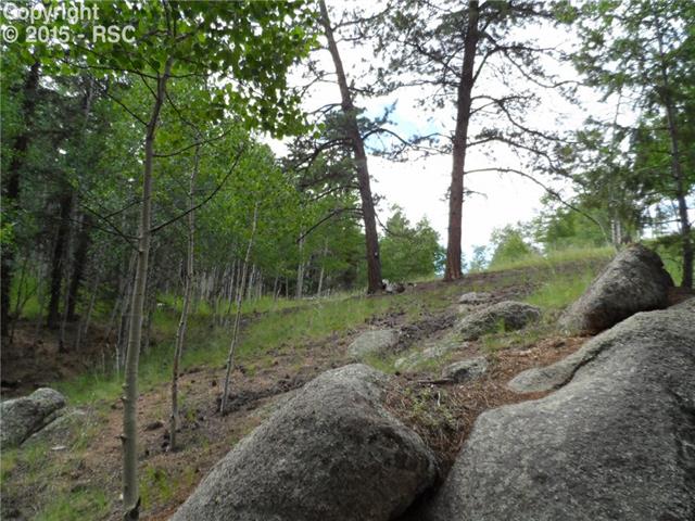 234 Berylium Road Florissant, CO 80816 - Photo 26 of 27