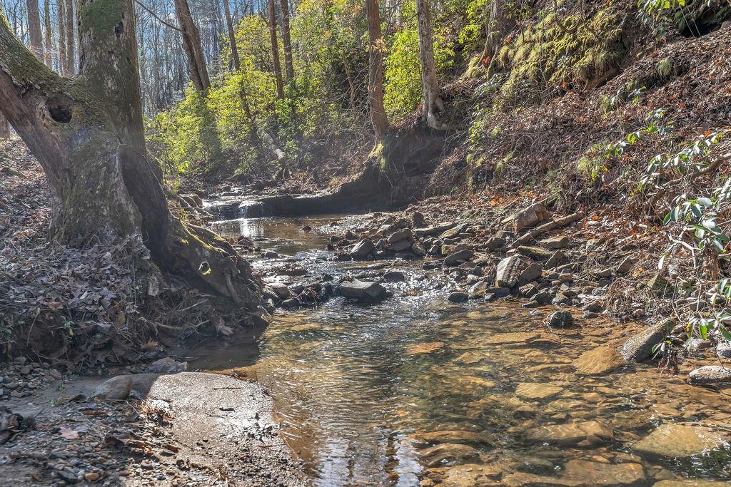 246 Woodward Way Talking Rock, GA 30175 - Photo 2 of 39 a view of water from a yard